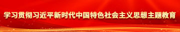 国产操b爽死视频学习贯彻习近平新时代中国特色社会主义思想主题教育